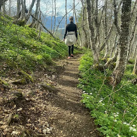 Lyngtun Orskog